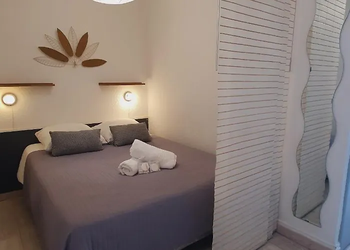 L'olympe Vue Parking Clim Wifi - Rossiconciergerie - Linge Inclus *